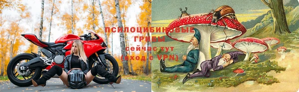 2c-b Аркадак