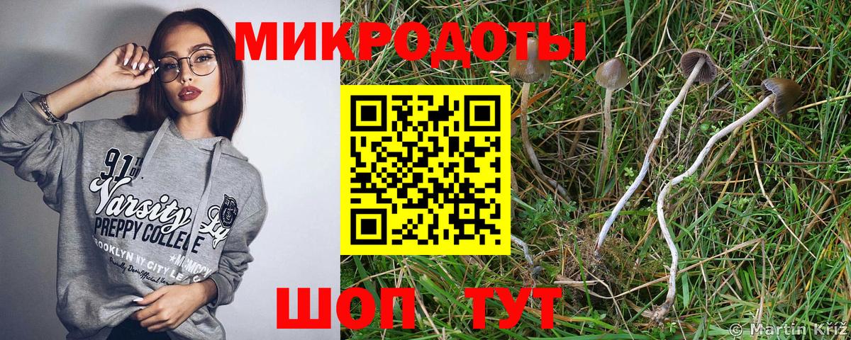 Чебоксары  Псилоцибиновые грибы прущие грибы  Вход с VPN 